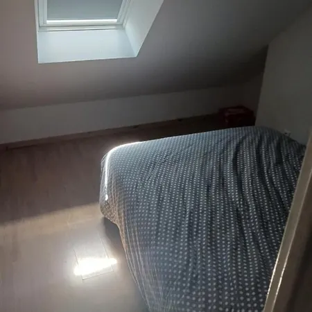 Maison Individuelle Secteur Tres Calme Coulaines